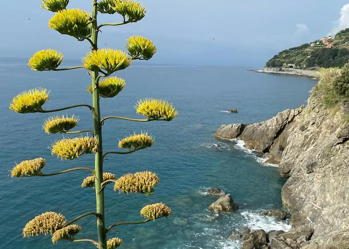 La Finestra Sul Mare - 2 - Vicino Appartement